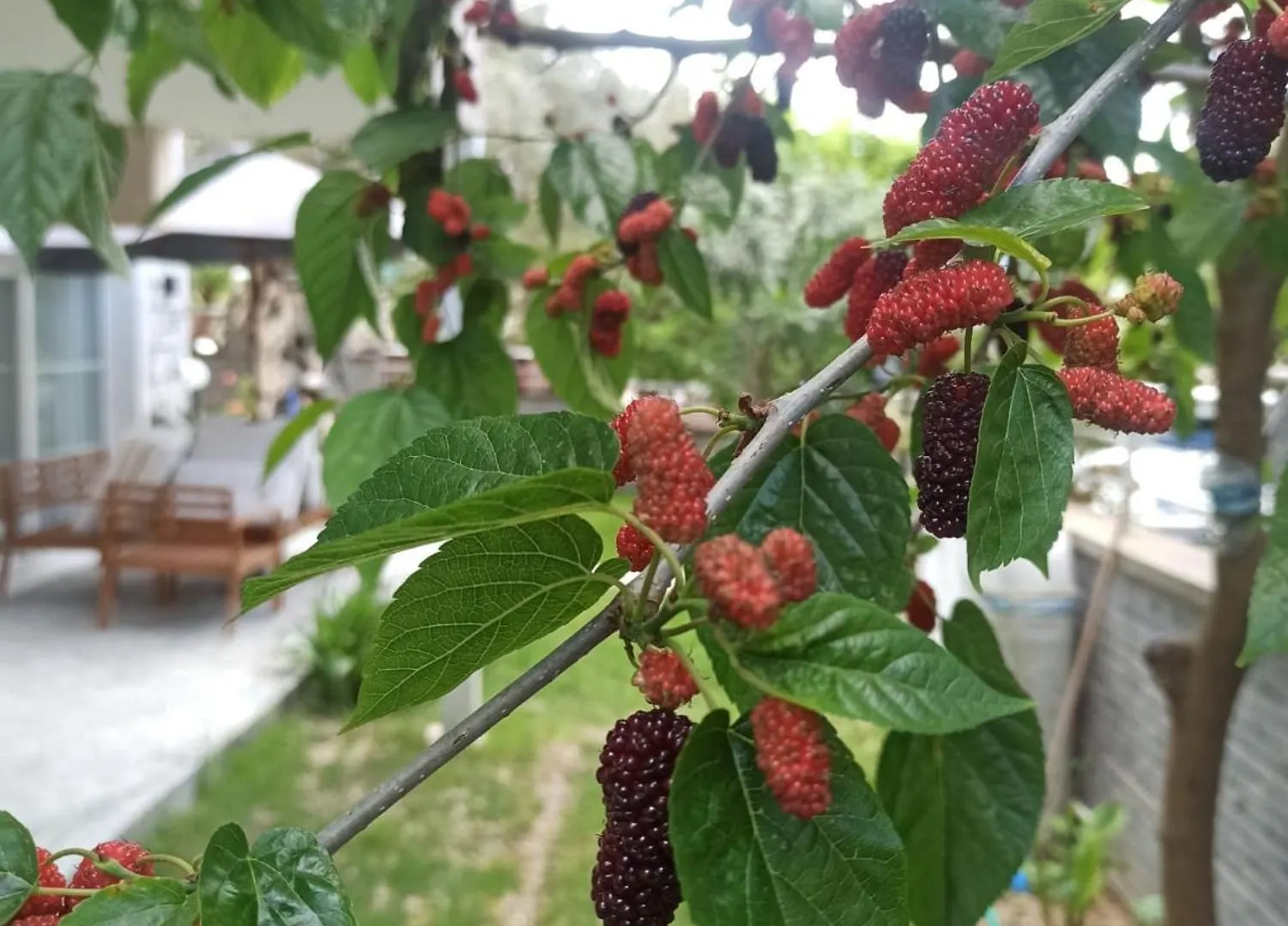 Appartamento Houseofurla Urla